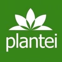 Plantei